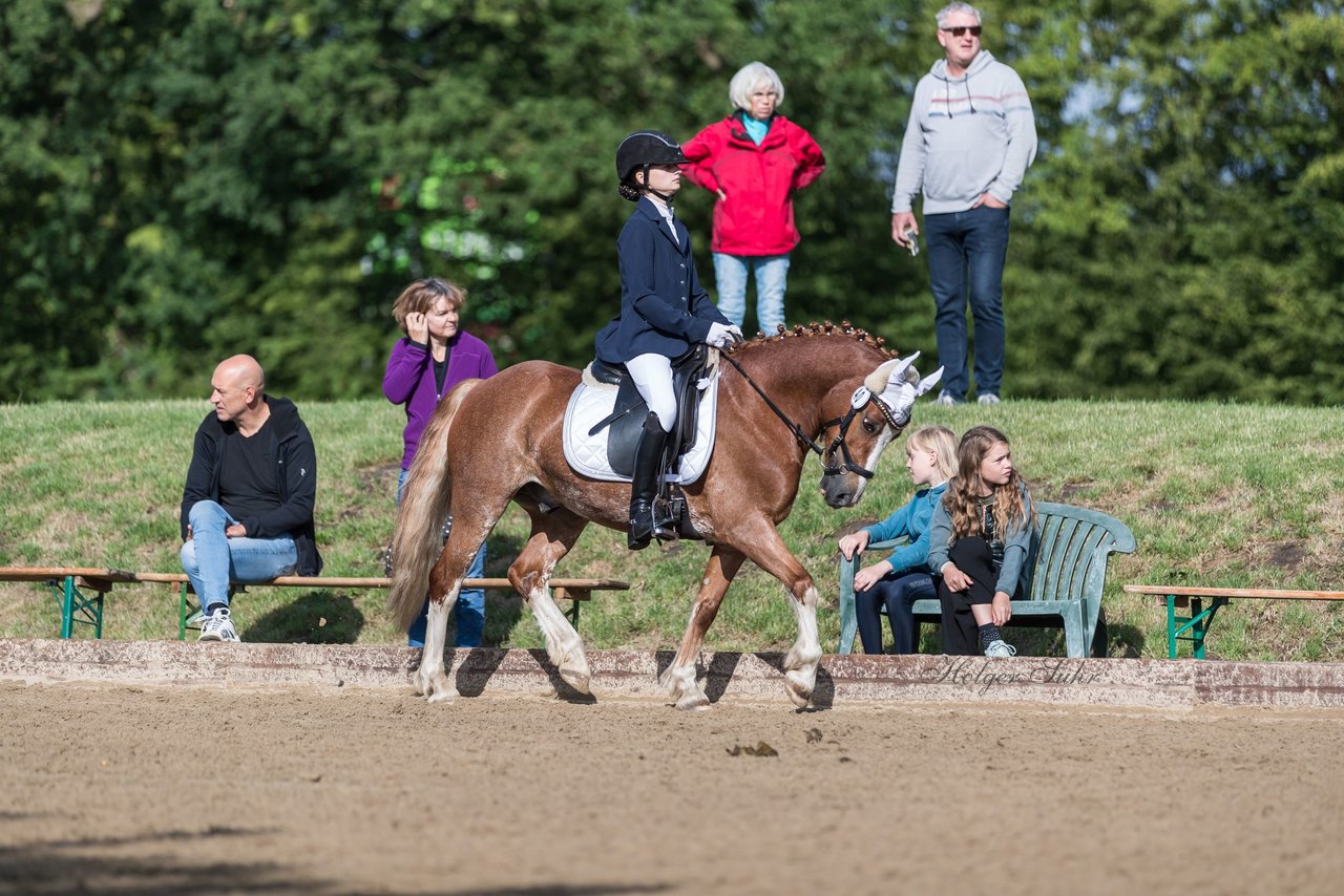 Bild 324 - Pony Akademie Turnier